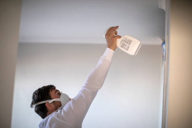 Novato, CA Mold Removal Company