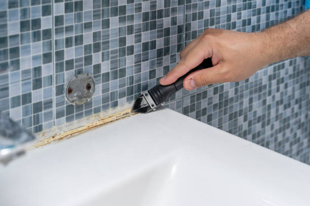 Best Same-Day Mold Removal  in Novato, CA