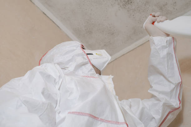 Best Crawl Space Mold Removal  in Novato, CA